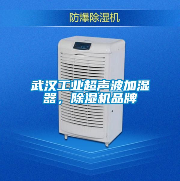 武汉工业超声波加湿器，除湿机品牌