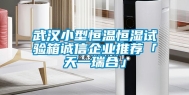 武汉小型恒温恒湿试验箱诚信企业推荐「天一瑞合」
