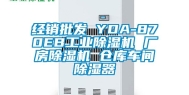 经销批发 YDA-870EB工业除湿机 厂房除湿机 仓库车间除湿器