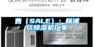 售（SALE）：杨浦区除湿机厂家
