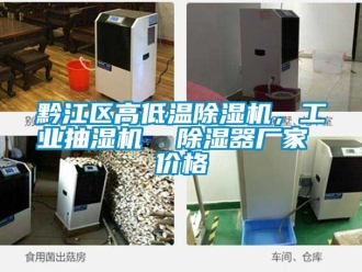 企业新闻黔江区高低温除湿机，工业抽湿机  除湿器厂家 价格
