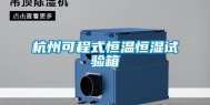 杭州可程式恒温恒湿试验箱